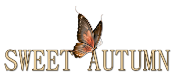 1565_Titel
